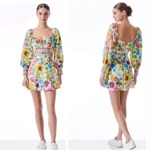 Crawford Smocked Floral Sweetheart Mini Dress